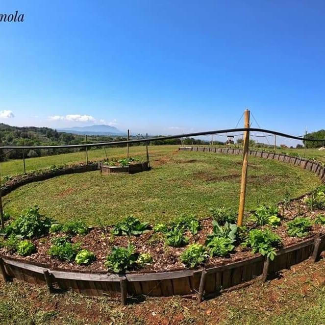 Ferienwohnung La Casa Del Tartufo Torri in Sabina Exterior foto